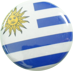 Argentina flag